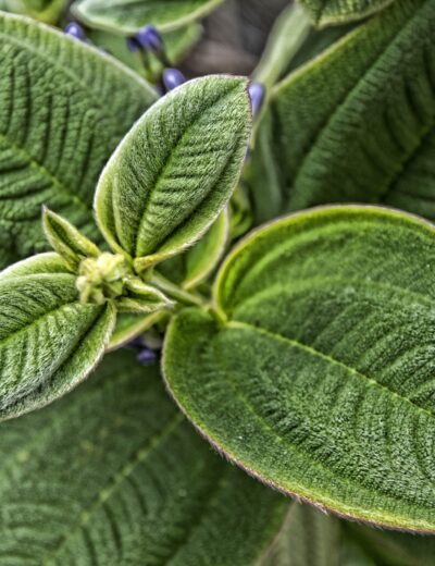 SeaWord_060312_13-min