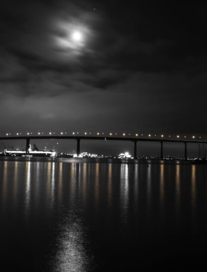 Coronado bridge1_BW_1-min