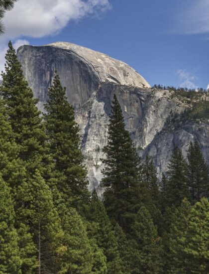 Yosemite 51515_85-min