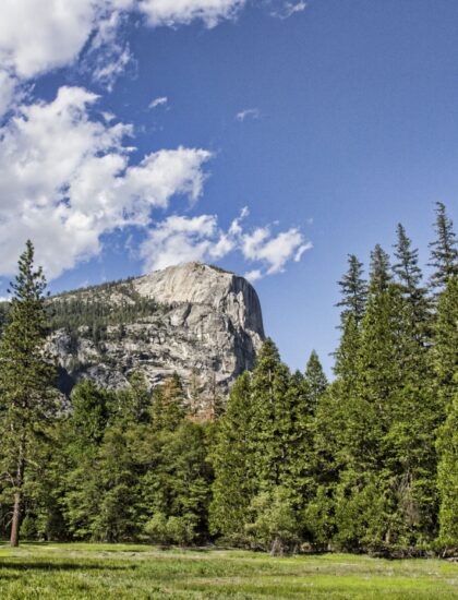 Yosenite_SP_2013_4-min