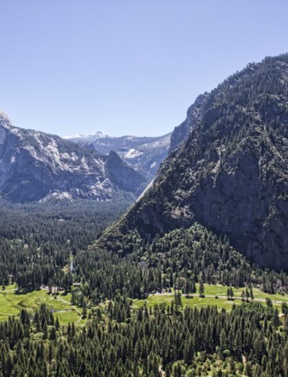 Yosenite_SP_2013_8-min