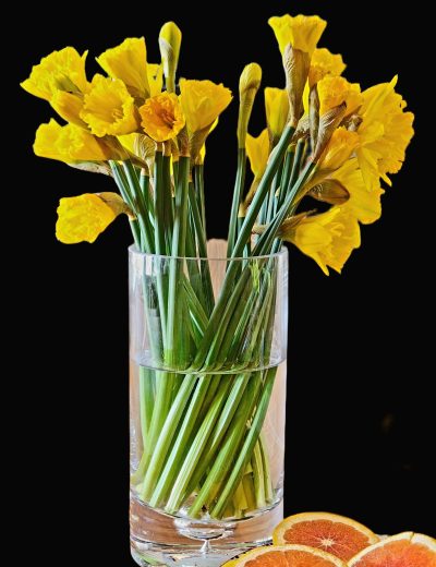 Picsart_23-02-05_15-56-21-730