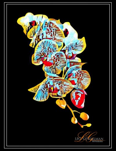 Orchid_Art
