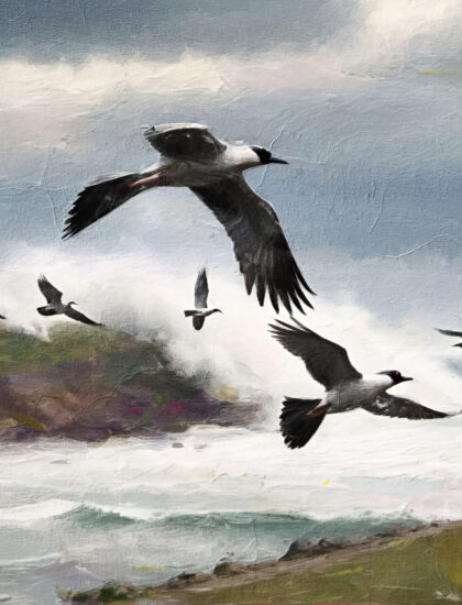 Ocean and Birds1_Oil