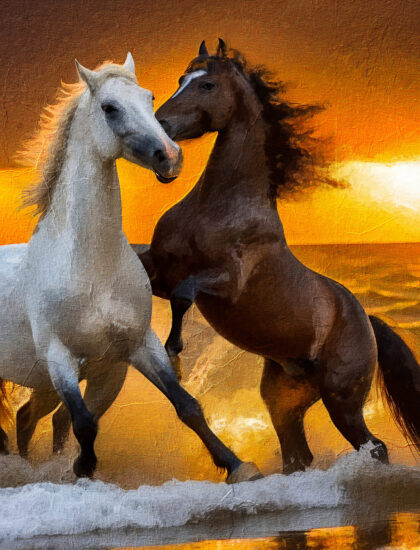 Two horses playing_oil